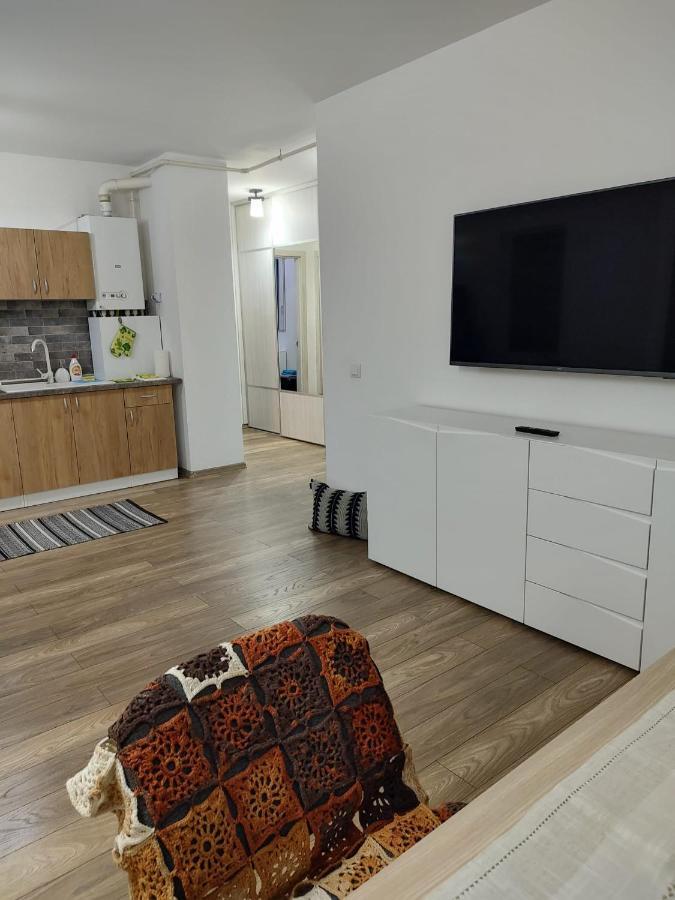 Casa Ioana Lägenhet Târgu-Mureş Exteriör bild