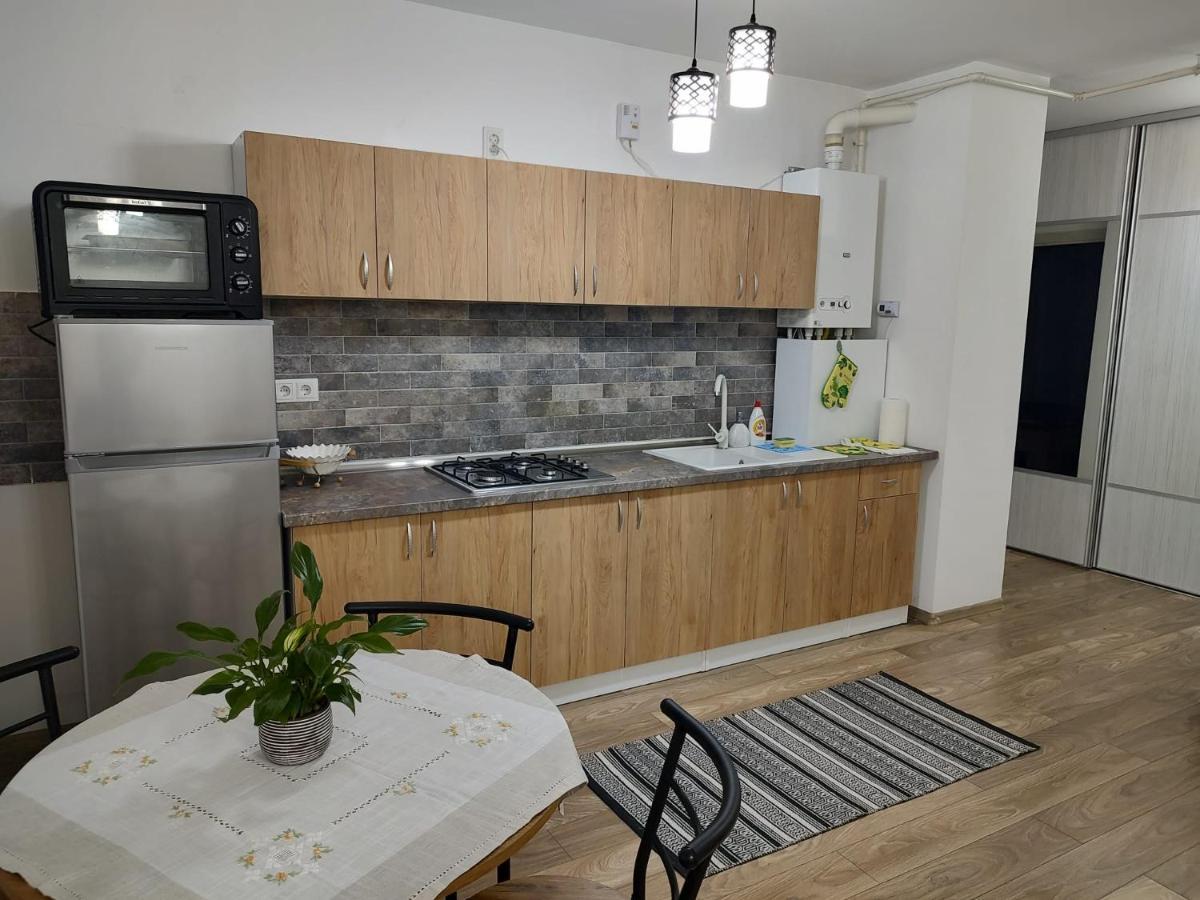 Casa Ioana Lägenhet Târgu-Mureş Exteriör bild