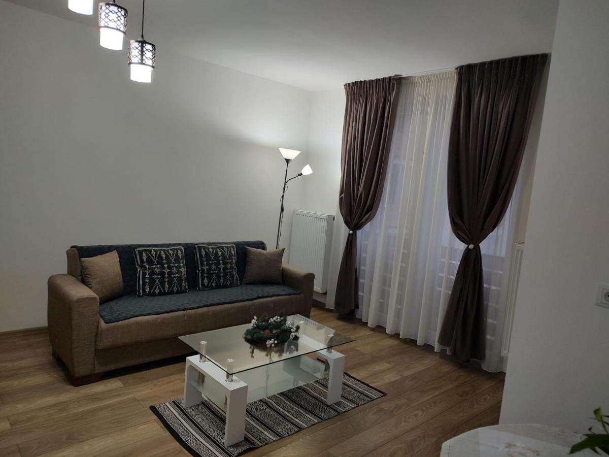Casa Ioana Lägenhet Târgu-Mureş Exteriör bild